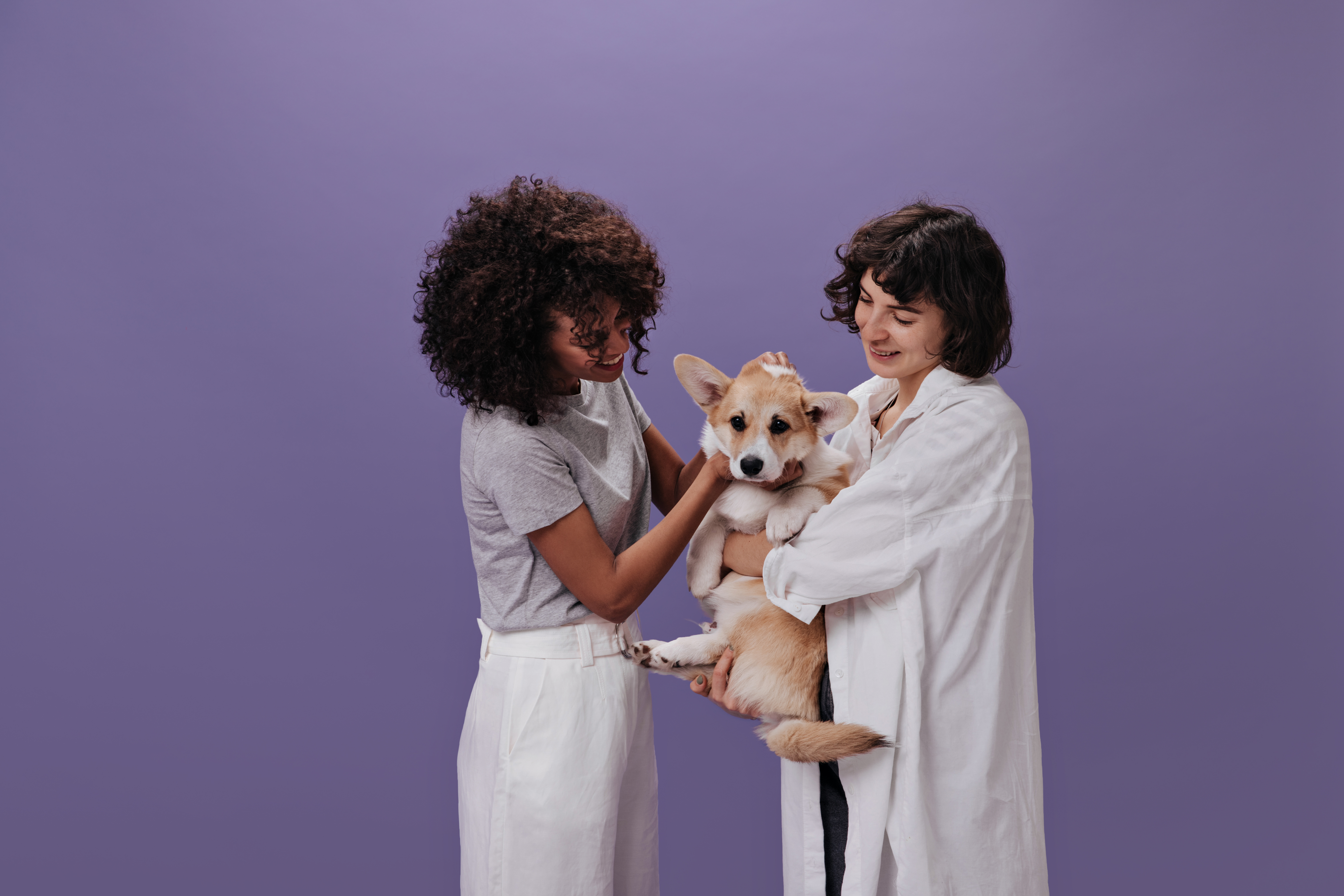 Campanha Maio Roxo reforça a conscientização das Doenças Infamatórios Intestinais (DIIs) também nos pets